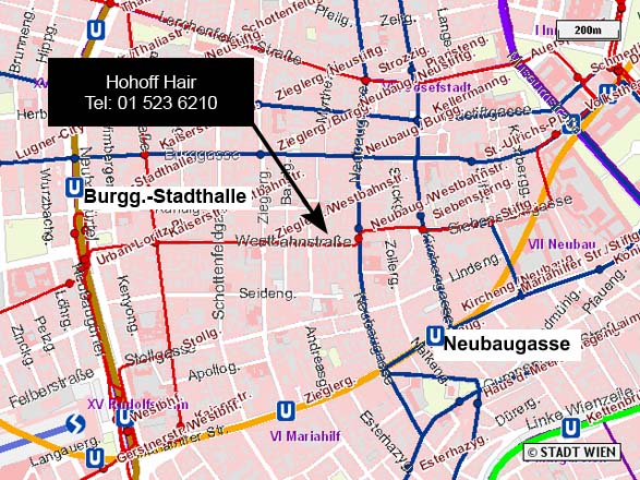 Hohff Hair Map